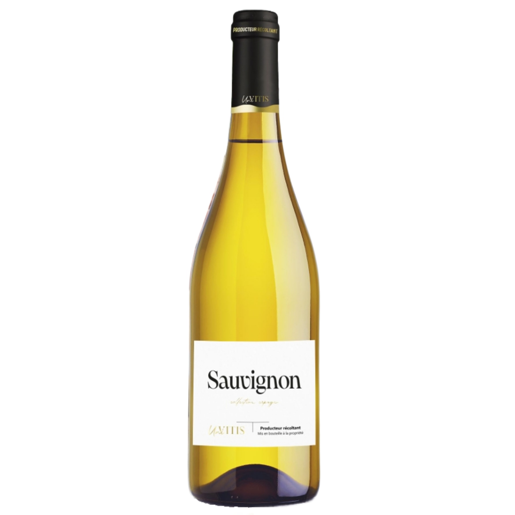 Carrement Sauvignon IGP Atlantique 2024